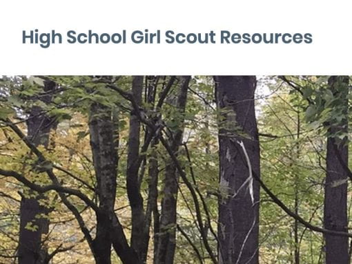 Gwen R. – High School Girl Scout Resources
